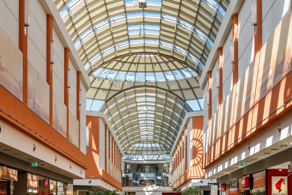 Portfolio Image